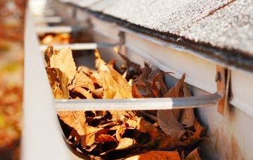 Lowood gutter cleaning companies