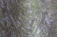 Lowood fibreglass roof work