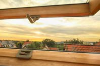 rated Lowood roof window companies